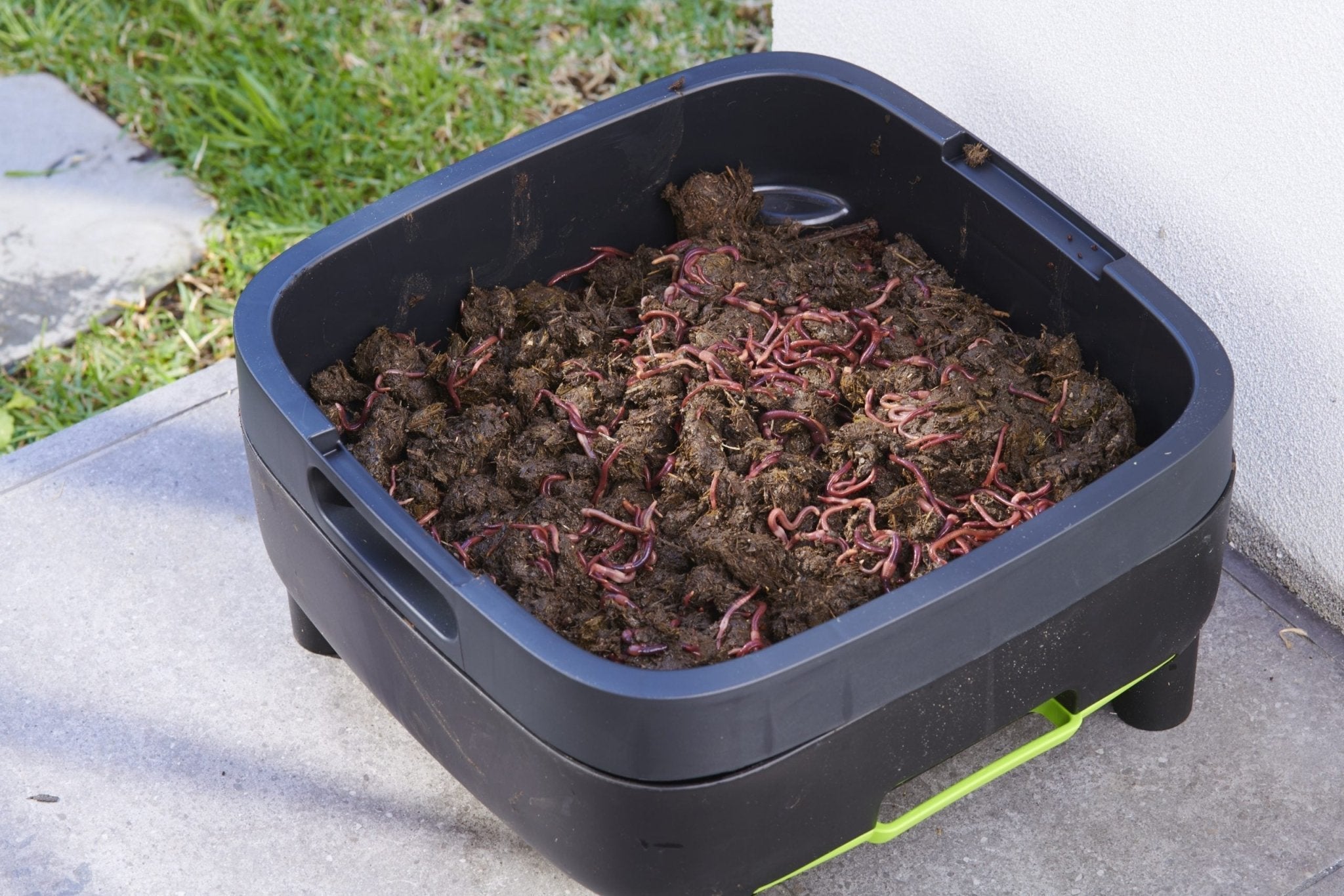 MAZE Worm Farm Working Tray