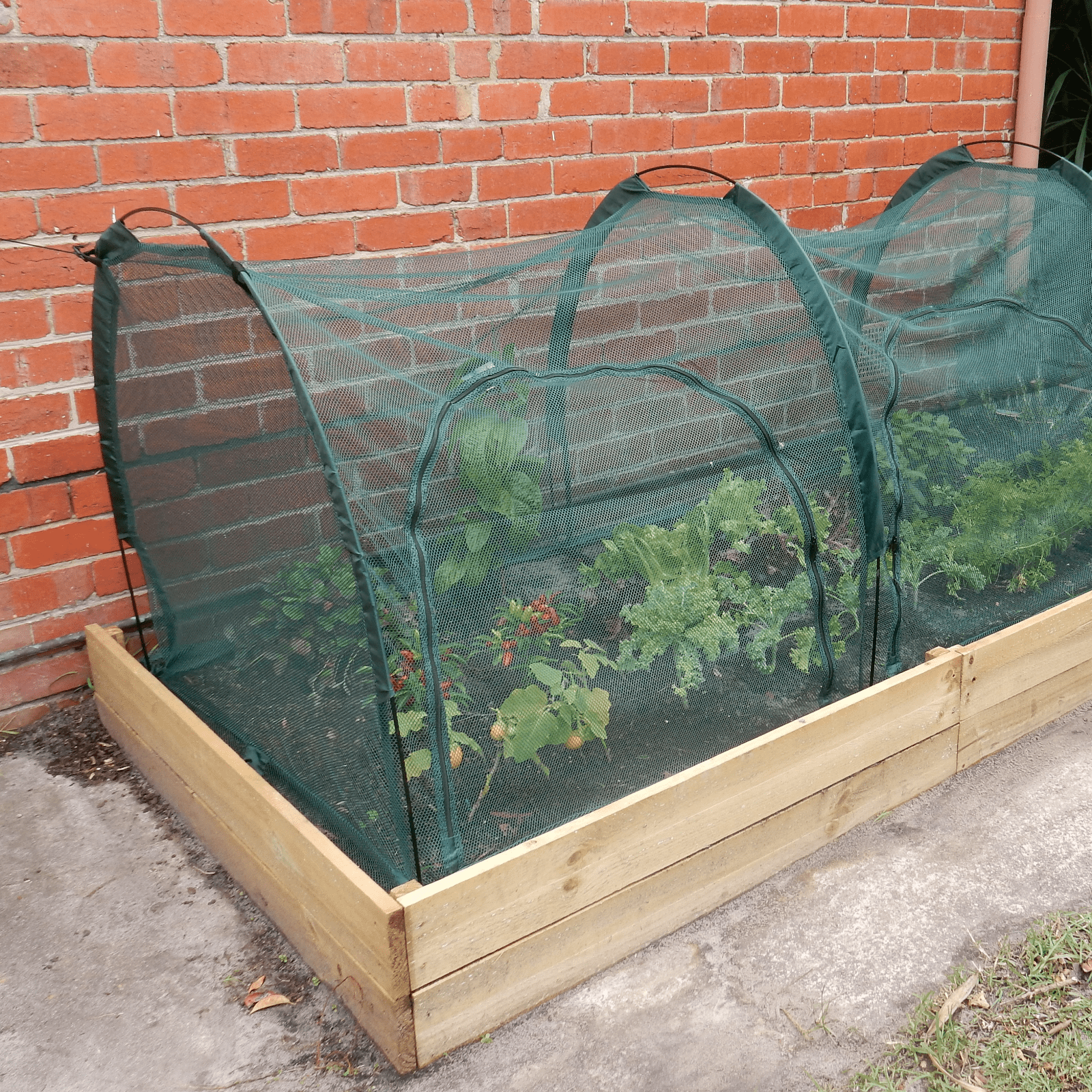 2m NET Garden Tunnel