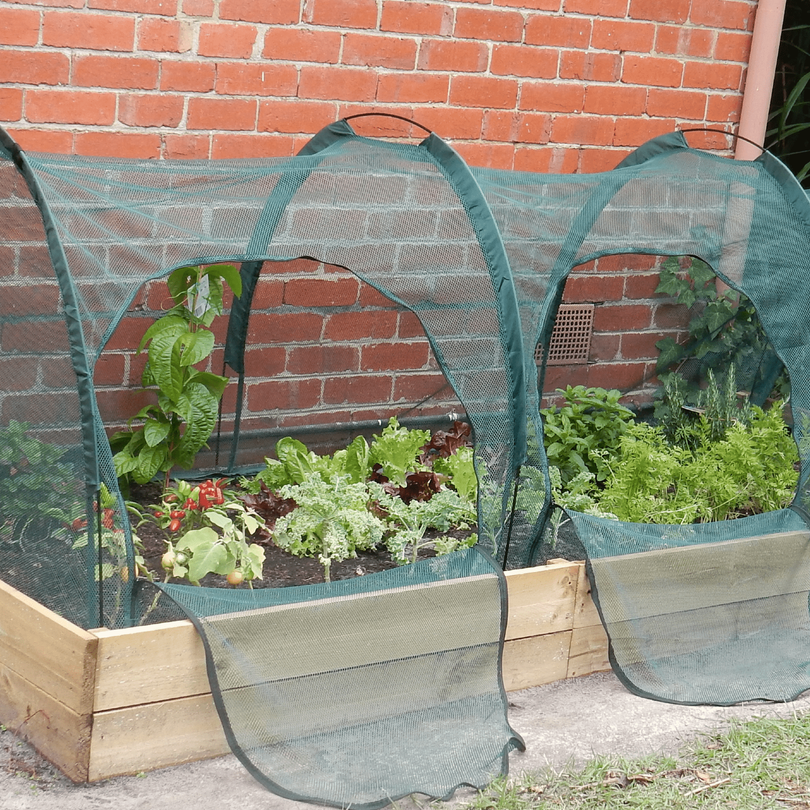 2m NET Garden Tunnel