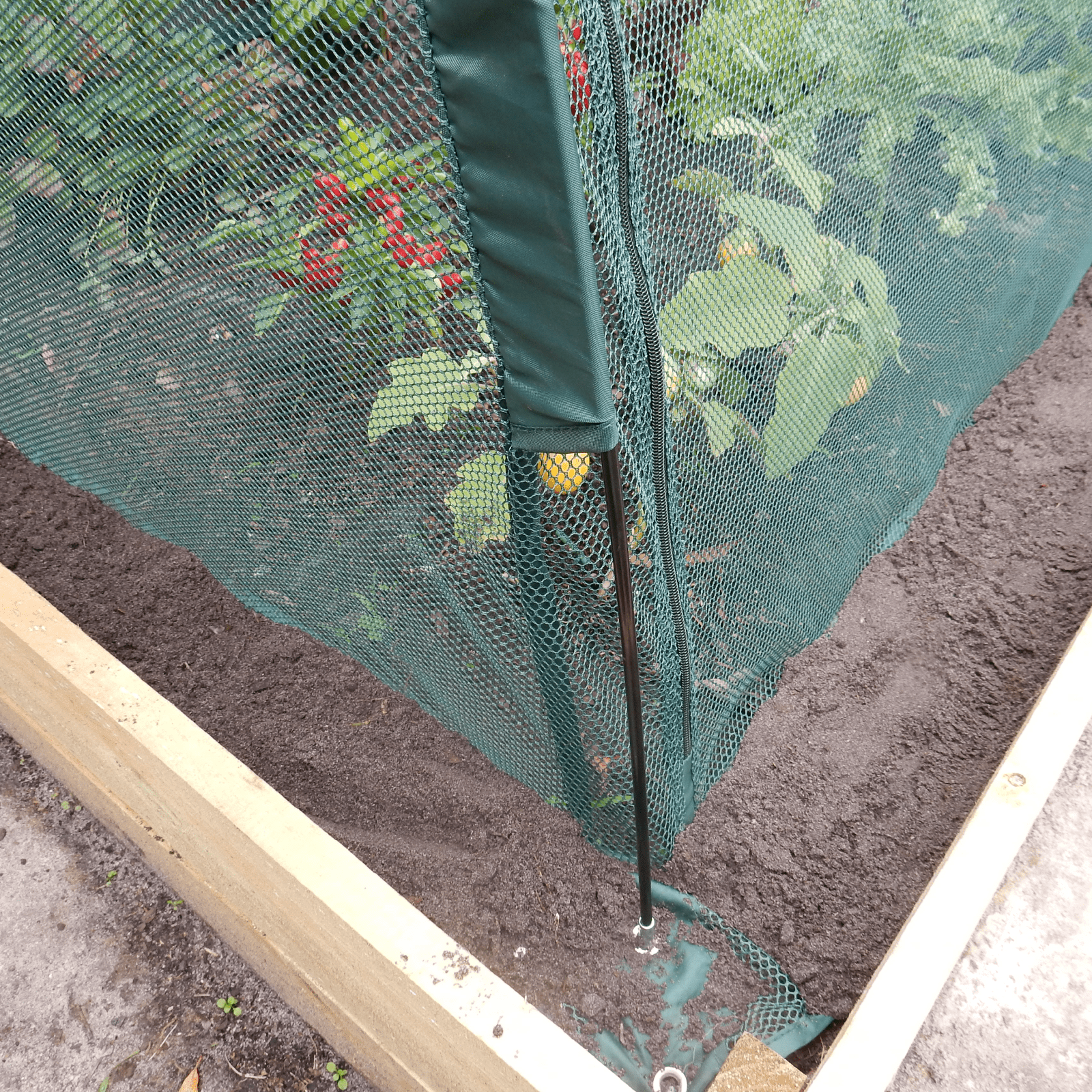 2m NET Garden Tunnel