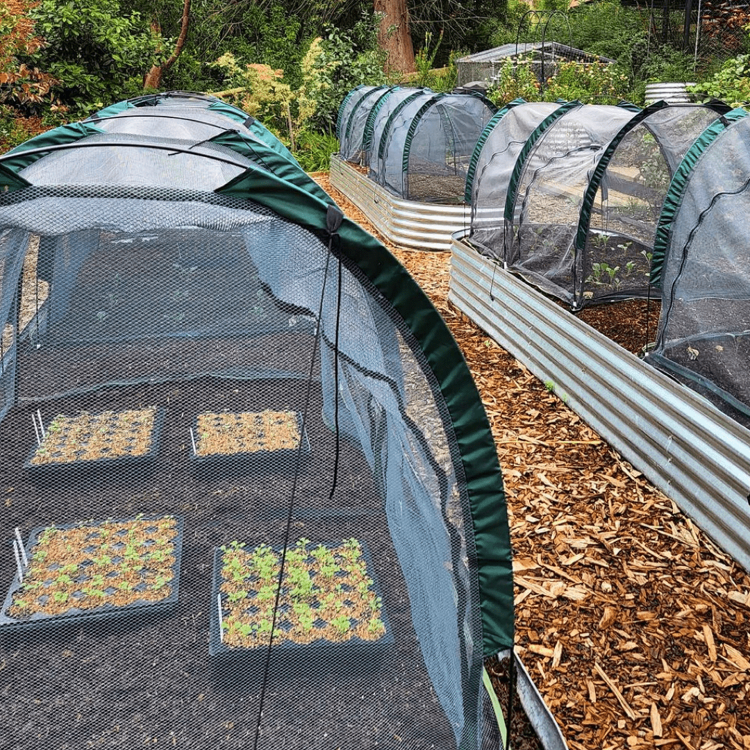 2m NET Garden Tunnel